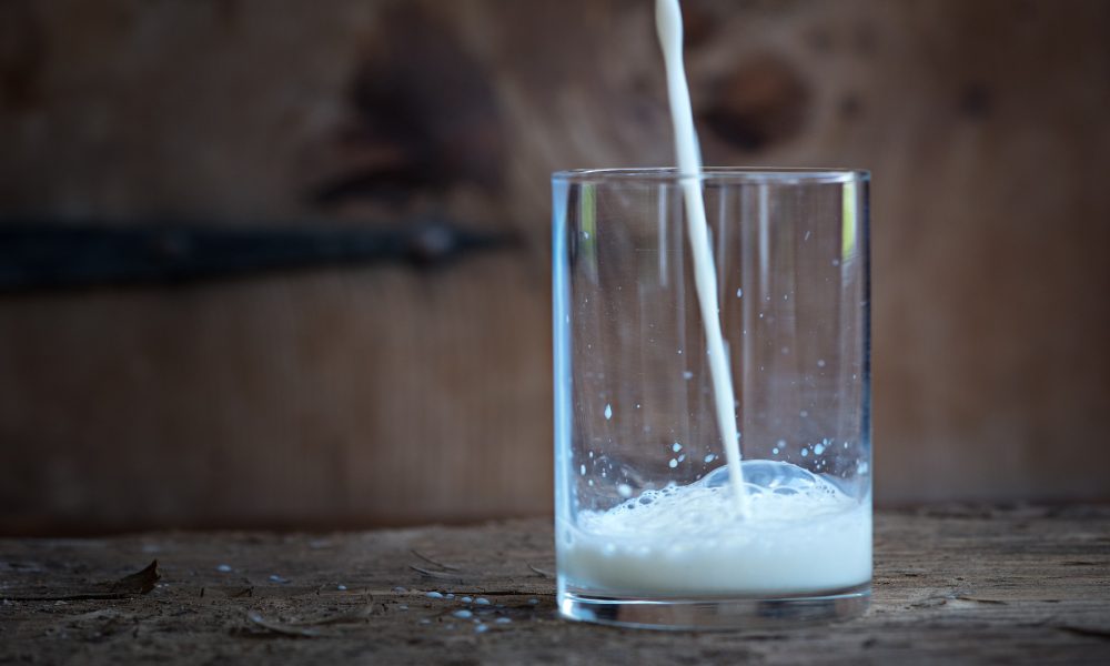 20 ganaderías gallegas premiadas por la mejor calidad sanitaria de la leche.1920