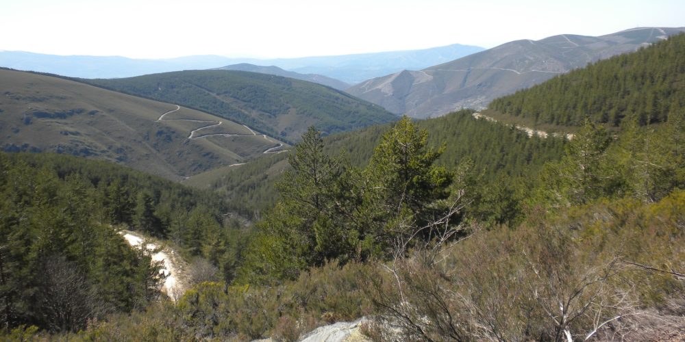 27 patrullas de las Fuerzas Armadas vigilan el monte gallego