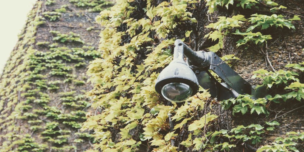 88 cámaras vigilarán el territorio gallego para prevenir incendios forestales