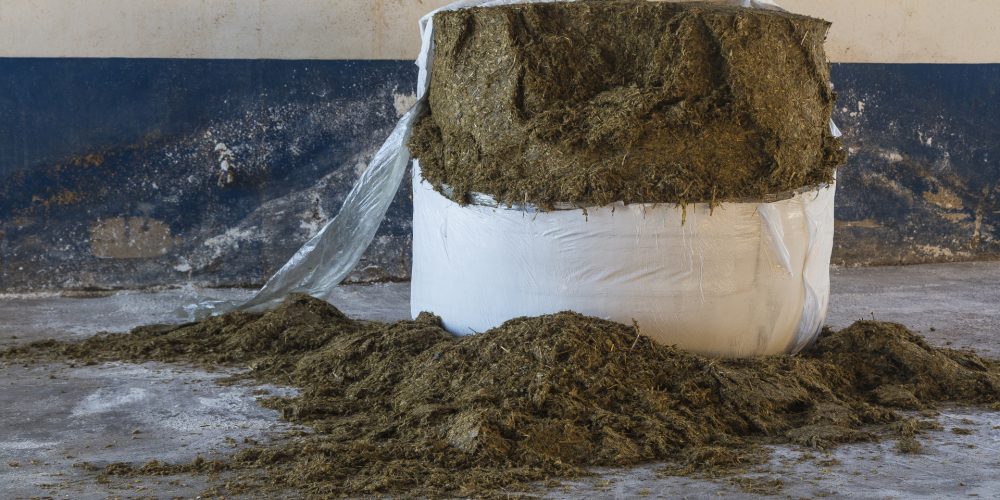 A partir del día 10 en Lalín se realizará la primera campaña del año de recogida de plásticos de silo