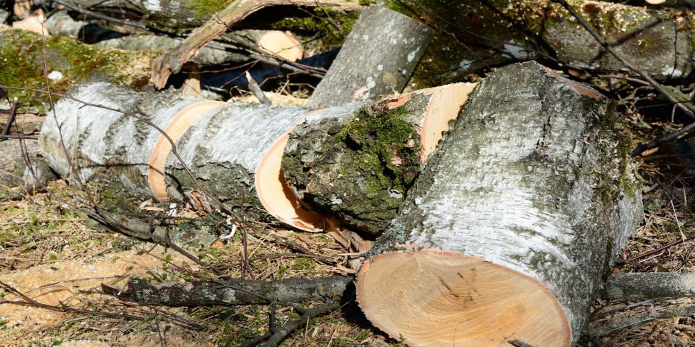 Ayudas para maquinaria forestal