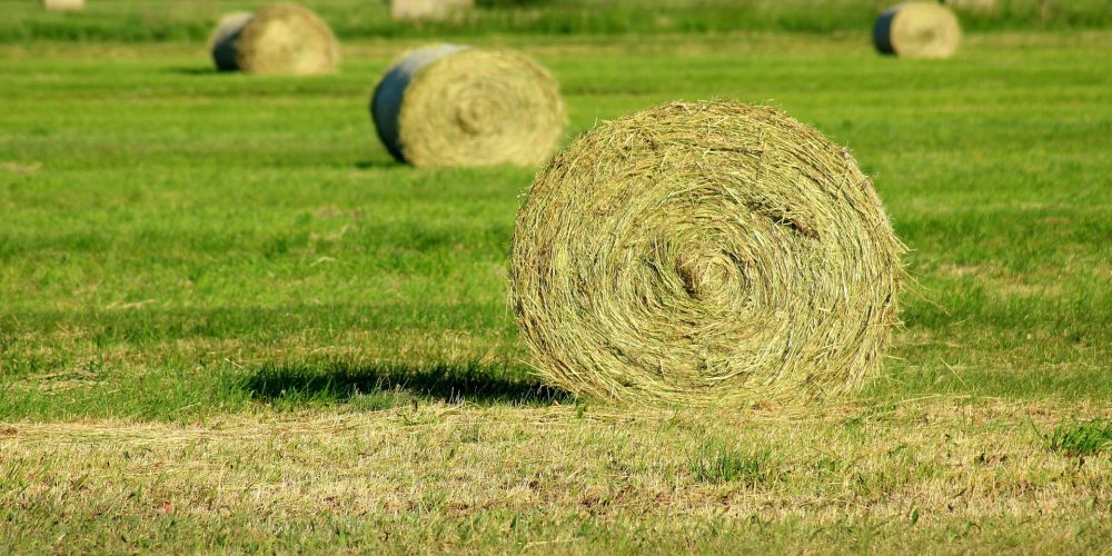 El Fondo Español de Garantía Agraria hizo público estos días el listado de beneficiarios de las ayudas de la Política Agraria Común (PAC) en el 2017.
