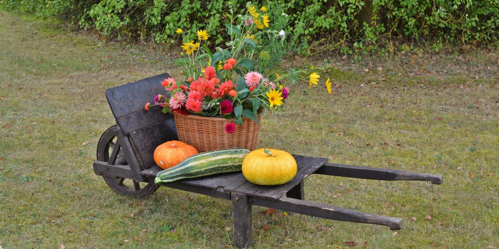 En otoño el jardín también necesita cuidados