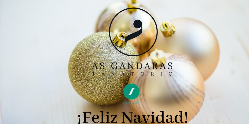 ¡Feliz Navidad!
