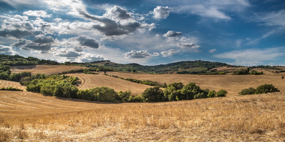 La Consellería do Medio Rural convoca ayudas para proyectos de grupos operativos de innovación