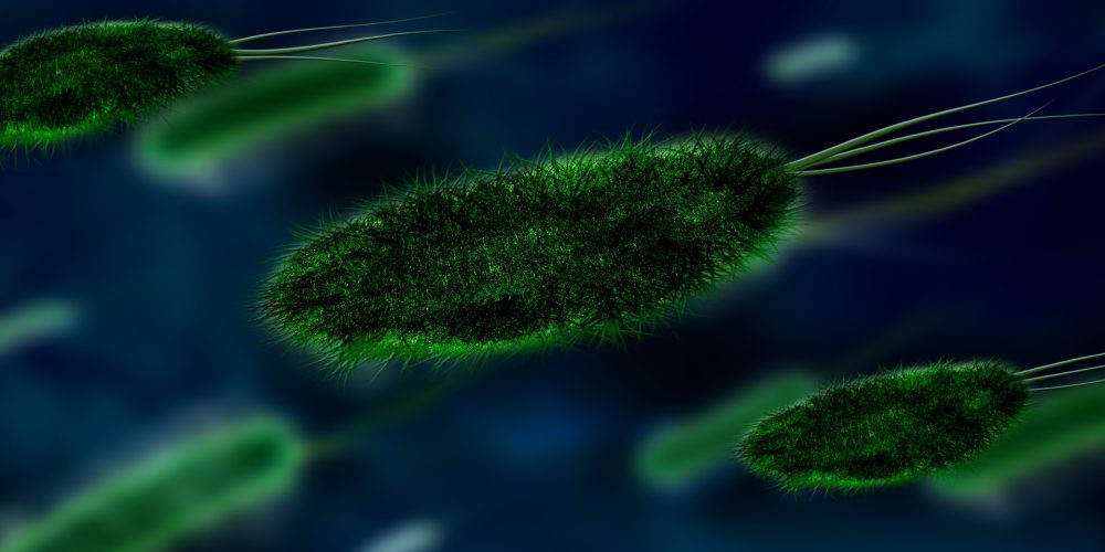 Los peligrosos experimentos con virus letales