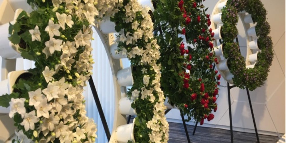 ¡Mira que idea! Coronas de flores ecológicas