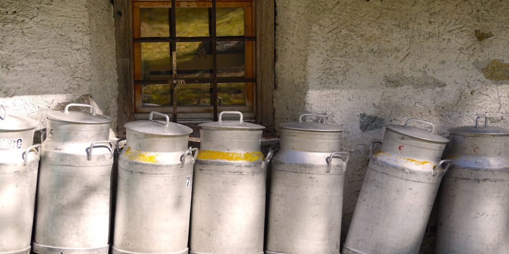 Ya lo dice Jesús Penelas: somos muy buenos produciendo leche pero muy malos sacándole valor