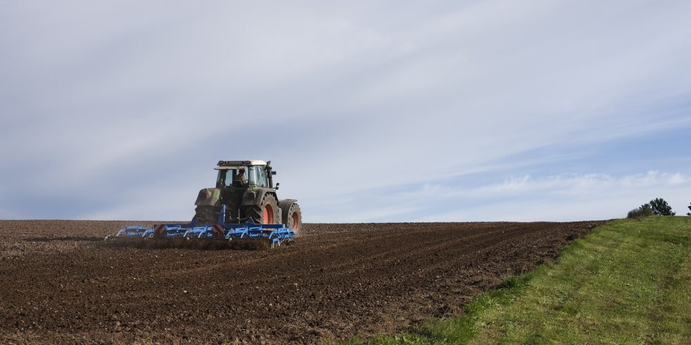 Agenda de ferias agrícolas, forestales y de jardinería para este 2018 en España