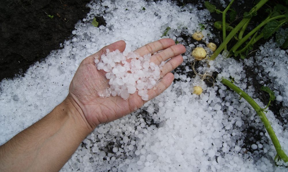 ayudas a agricultores afectados por fenómenos climáticos