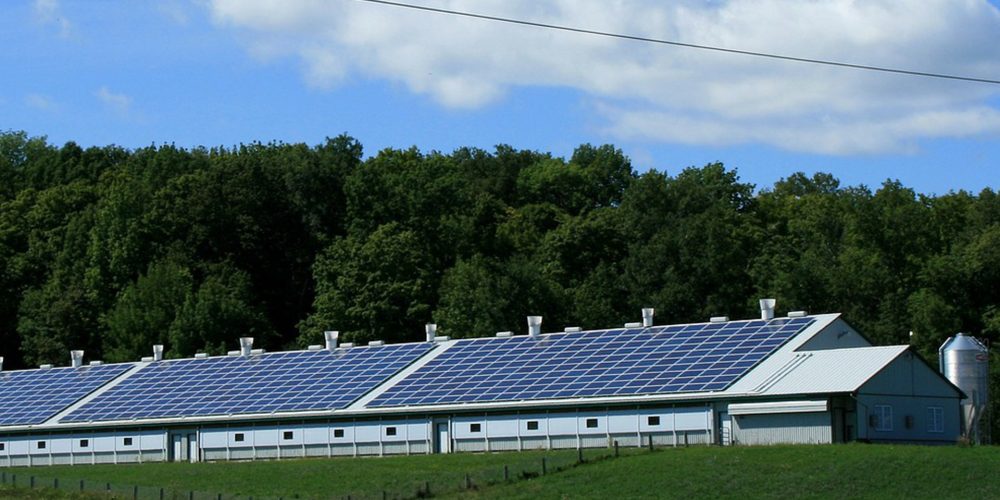 Ayudas para instalar energías renovables en el sector agroganadero