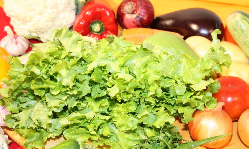 conservacion-de-frutas-y-verduras-nevera-si-o-no-1920