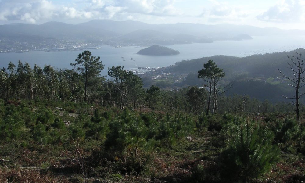 el concello de pontevedra organiza una jornada para analizar el futuro de los montes de la provincia