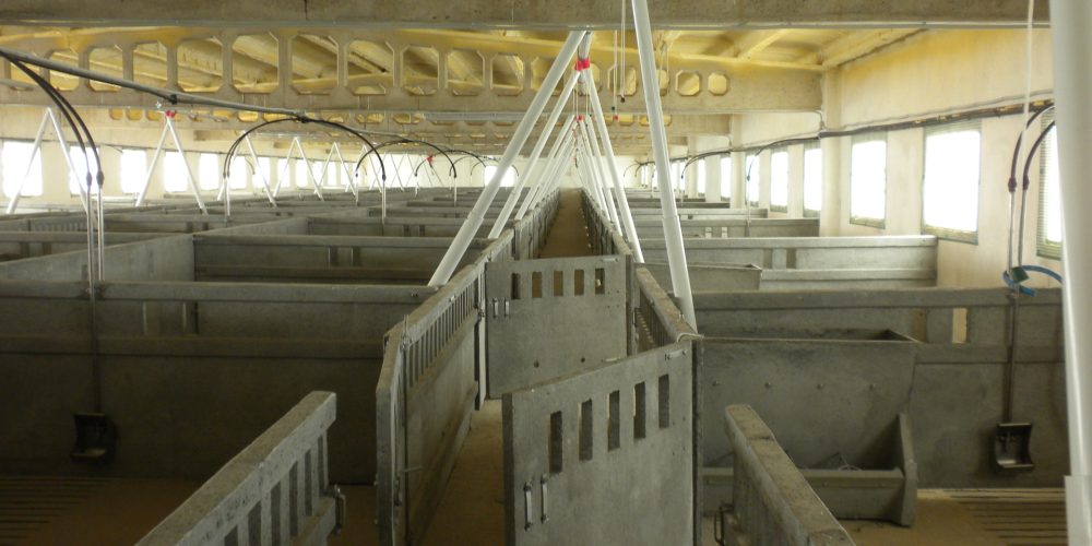 Explotación agraria, una de las empresas clave del sector primario