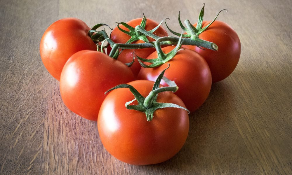 formación y empleo para jóvenes en el sector agroalimentario con emprega xuventude