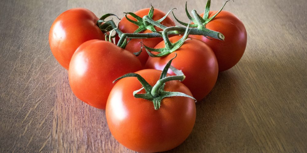 Formación y empleo para jóvenes en el sector agroalimentario con «Emprega Xuventude»