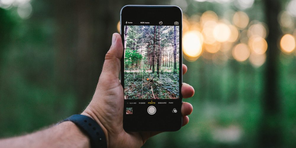 Jornadas sobre herramientas digitales para el sector forestal