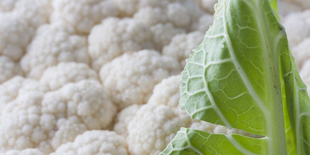 La coliflor, mejor cocida para aprovechar todas sus virtudes