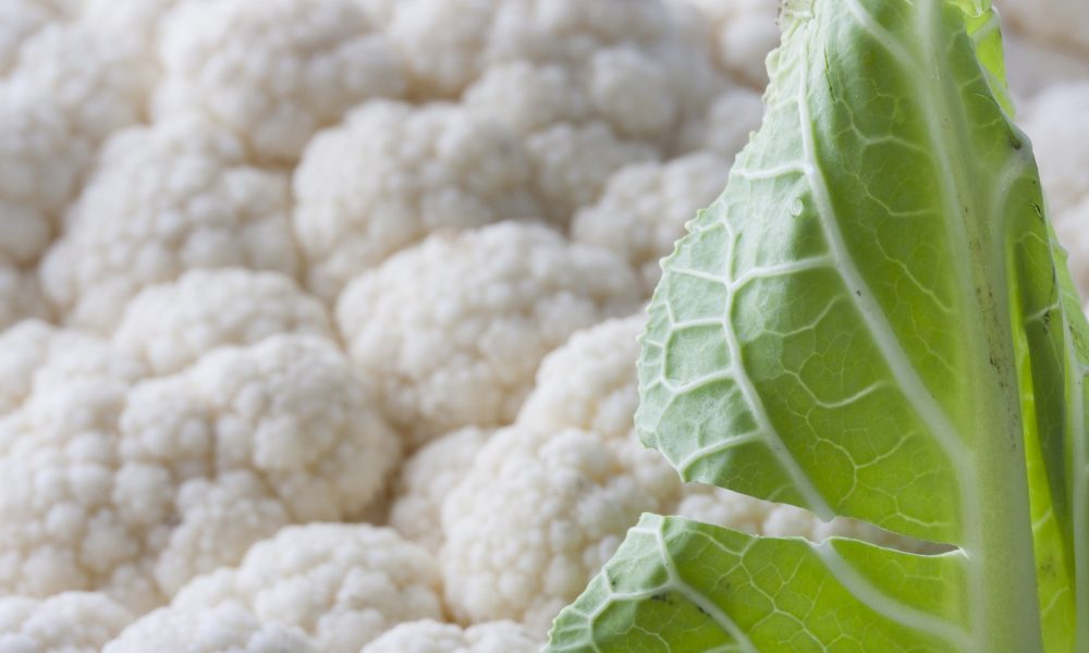la coliflor mejor cocida para aprovechar todas sus virtudes