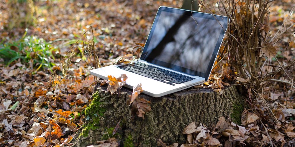 La obligación de realizar las gestiones de la Seguridad Social por Internet causará problemas en el rural