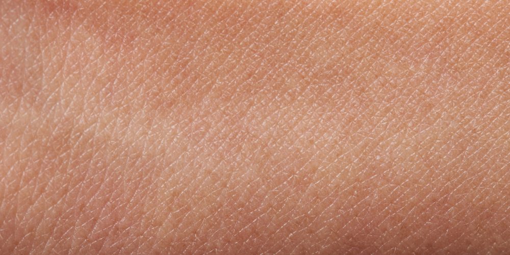 Las tres grandes funciones de la piel