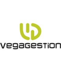 Vega Gestión