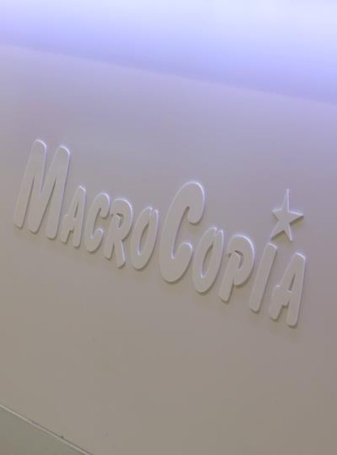 Macrocopia