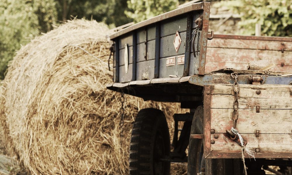 medio-rural-destinara-6-millones-de-euros-a-instalaciones-y-equipamientos-de-regimen-asociativo-1920