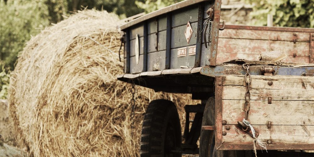 Medio Rural destinará 6 millones de euros a instalaciones y equipamientos de régimen asociativo