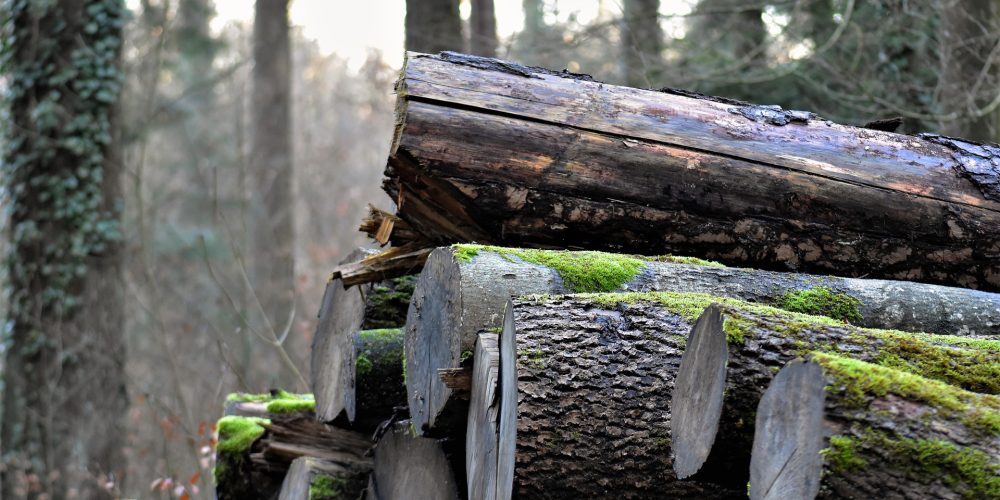 Nuevas ayudas para la compra de maquinaria forestal