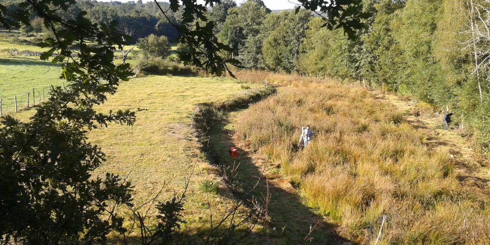 Situaciones en las que es fundamental medir una finca