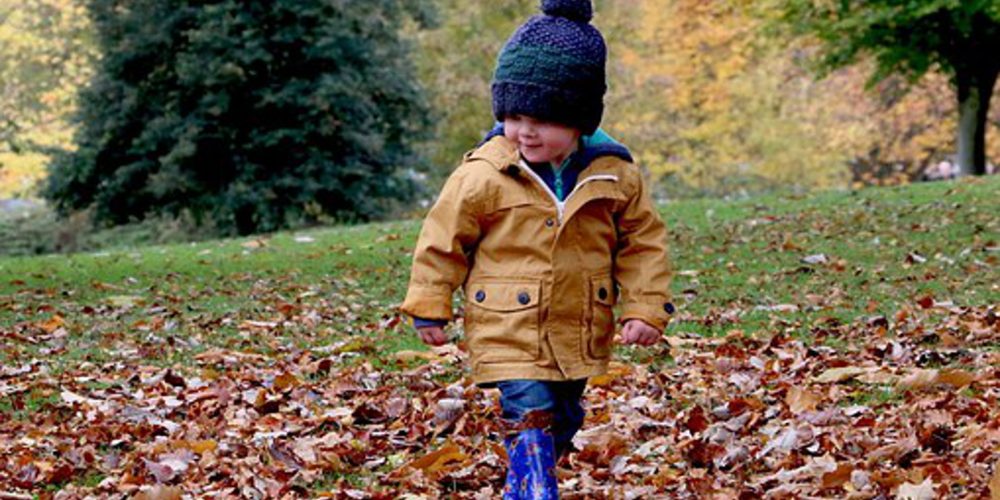 Trabajos de jardinería para el otoño