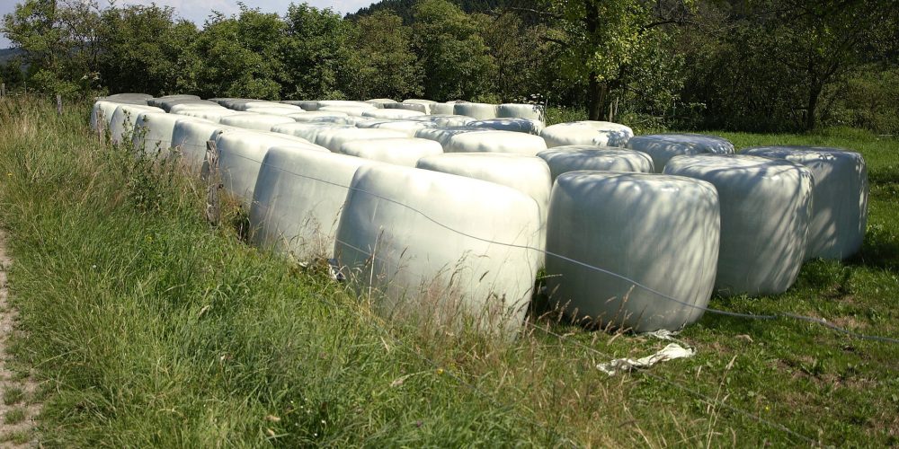 Unións Agrarias denuncia que Hacienda pretende multar a familiares y amigos que ayudan en labores agrícolas