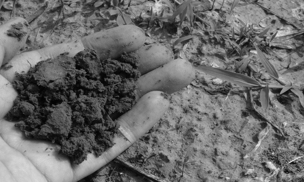 A un paso de legalizarse el compost humano en un estado de EEUU 1920