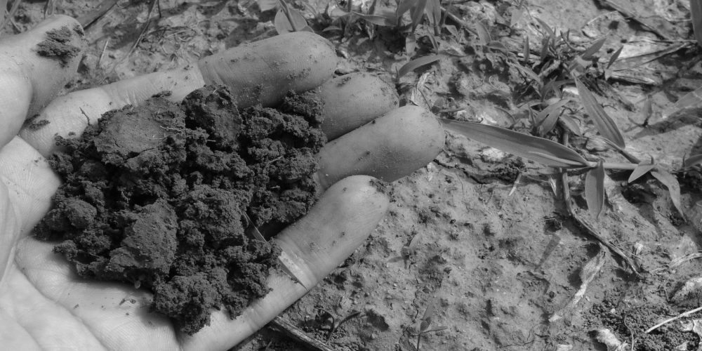 A un paso de legalizarse el compost humano en un estado de EEUU
