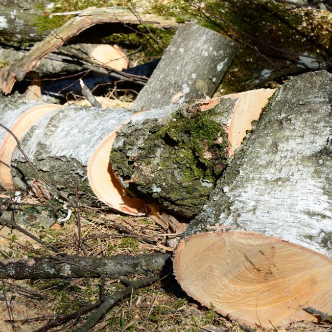 Ayudas para maquinaria forestal