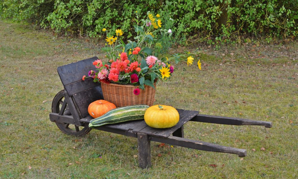 En otoño el jardin tambien necesita cuidados1920