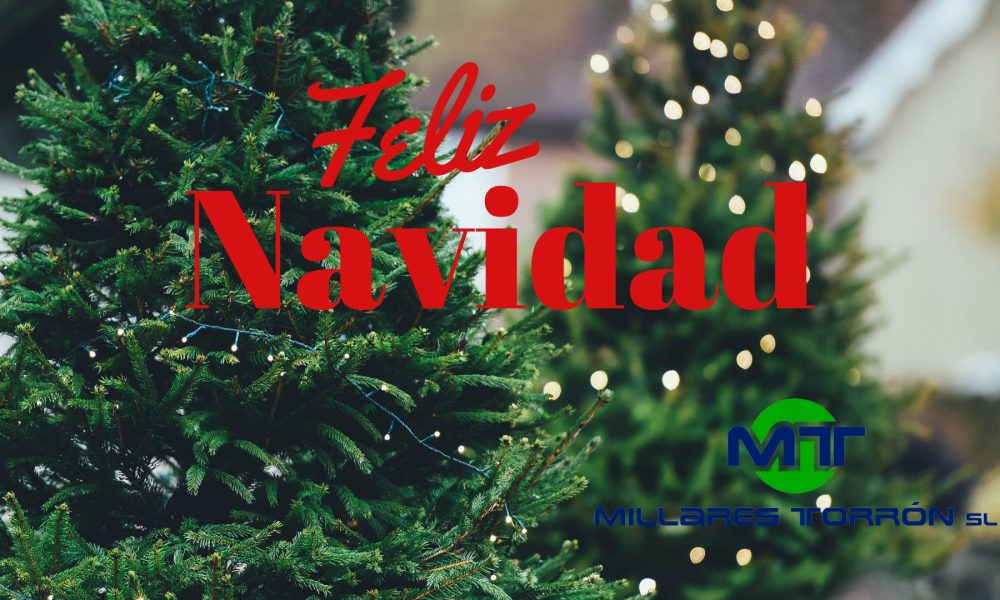 Feliz Navidad 18