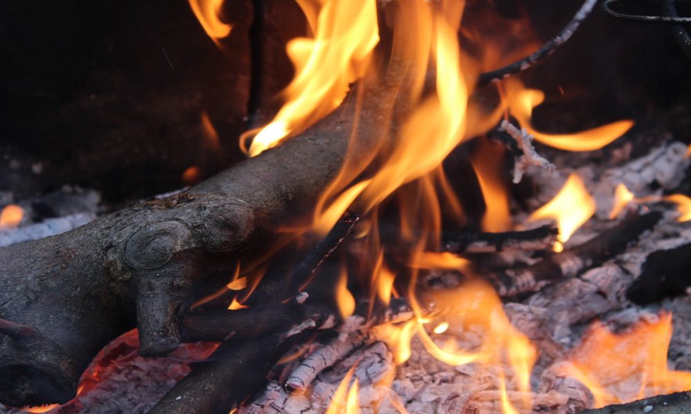 La investigacion de la ola de incendios del mes de octubre concluye que el 88 fueron intencionados.1920