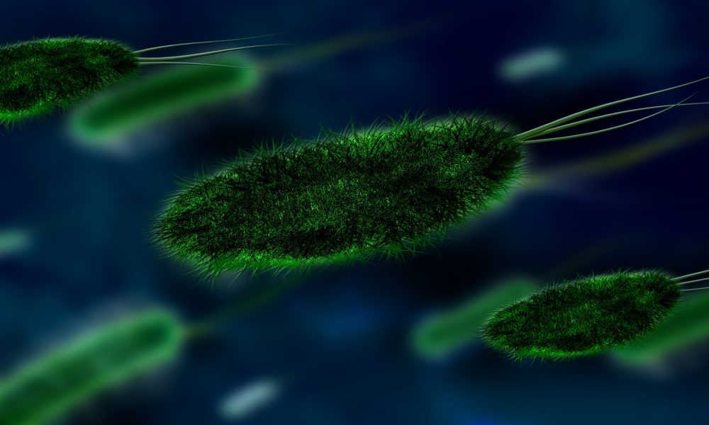 Los peligrosos experimentos con virus letales1920