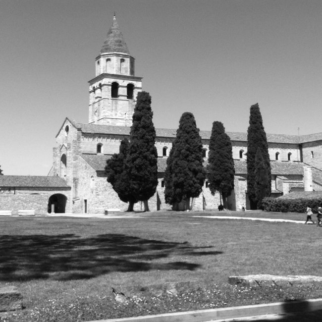 ¿Sabes por qué hay cipreses en el cementerio?