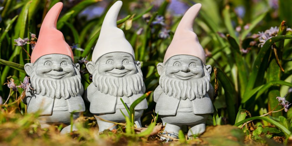 Según el clima que plantar en el jardín