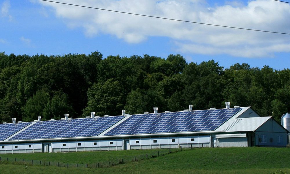 ayudas-para-instalar-energias-renovables-en-el-sector-agroganadero-1920