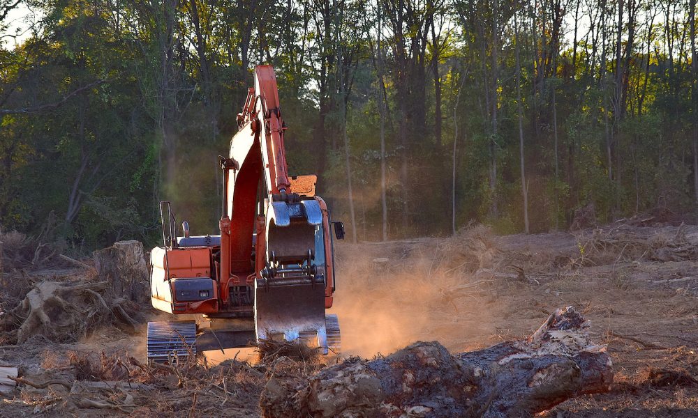 cambios-en-la-normativa-forestal-2019-1920