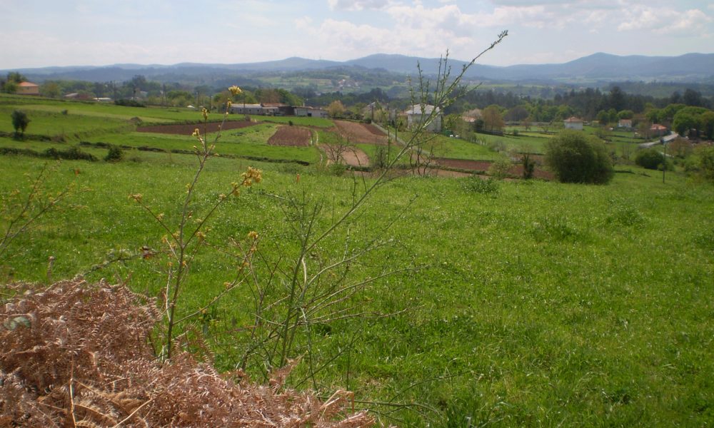 en-defensa-del-rural-gallego-1920.jpg