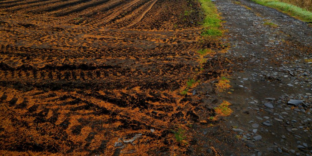 Este año se mantiene en Galicia el sistema de abanico para esparcir purines