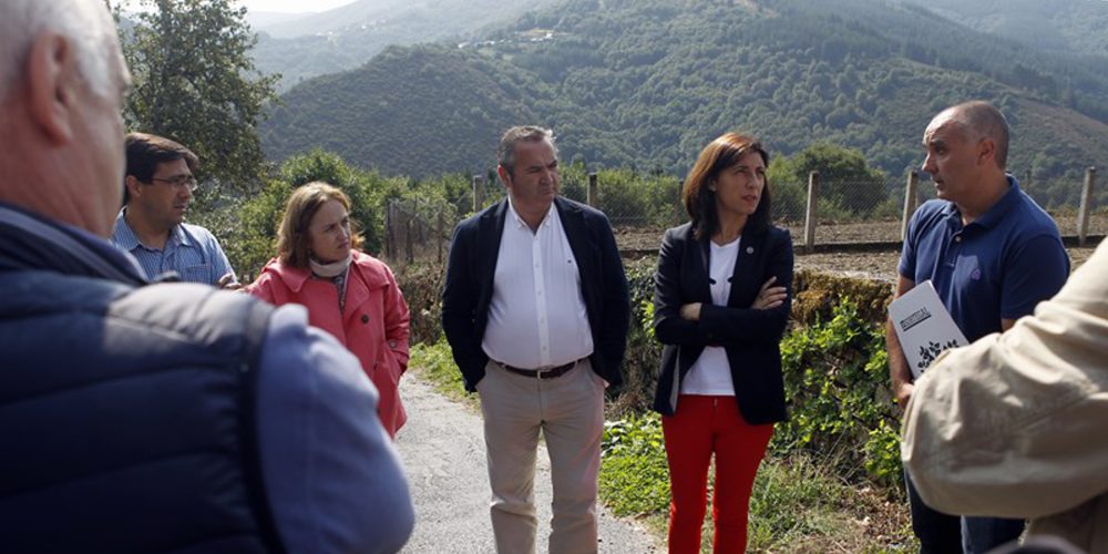 Galicia cuenta ya con cinco sociedades de fomento forestal