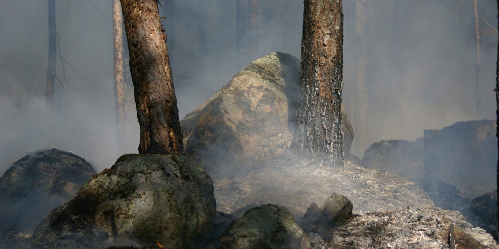 Hasta el 30 de noviembre para solicitar las ayudas por los daños de los incendios
