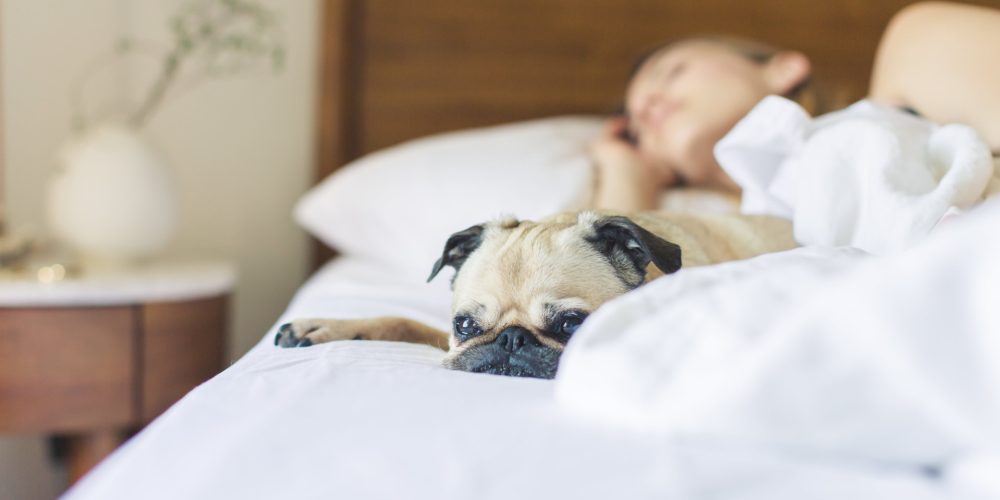 La importancia de dormir bien también para la piel