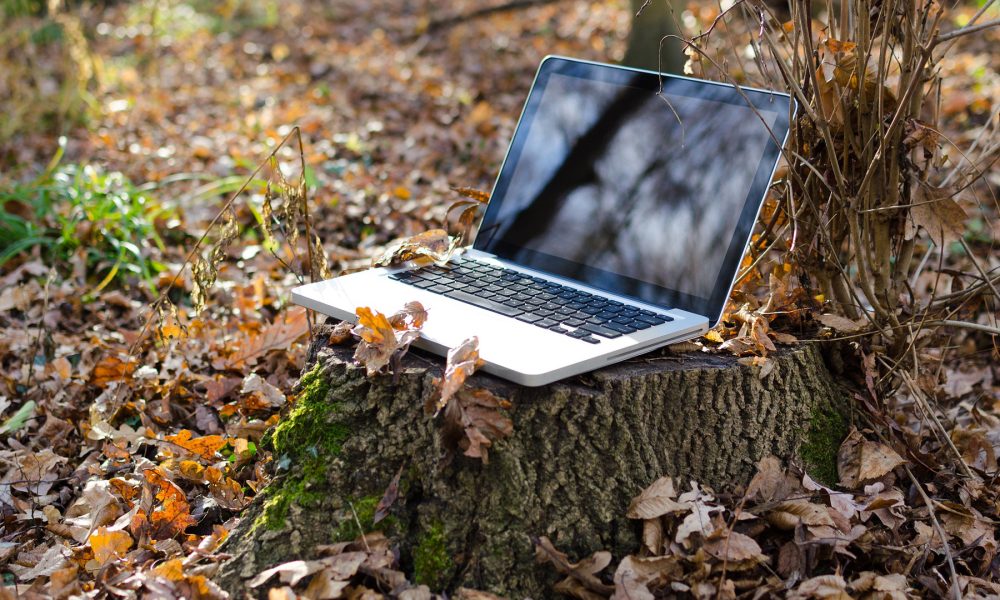 la-obligacion-de-realizar-gestionas-seguridad-social-por-internet-causara-problemas-en-el-rural-1920